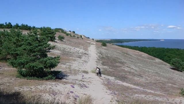 Куршская коса, Озеро Лебедь смотреть онлайн