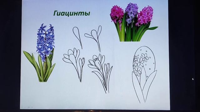 Цветущая весна смотреть онлайн