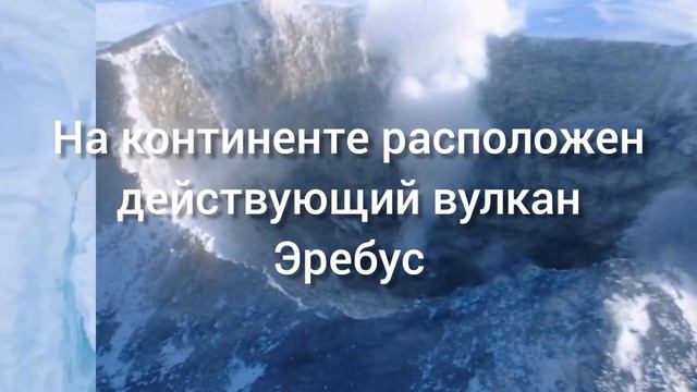 День открытия Антарктиды смотреть онлайн