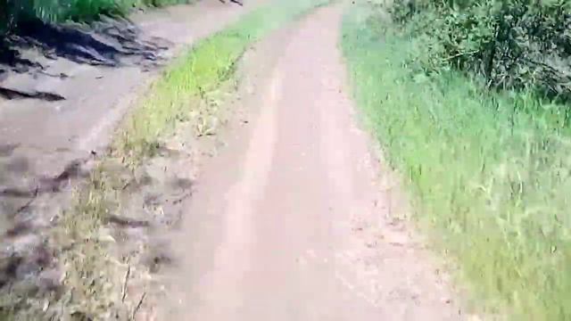 Дальняк на мопеде? смотреть онлайн