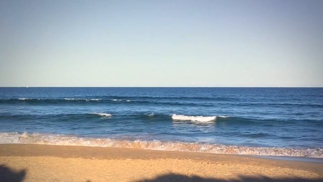 Море и пляж в Сиднее Австралия. смотреть онлайн