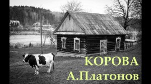 Корова А.Платонов
