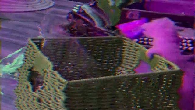 Хорёк - особенности животного смотреть онлайн