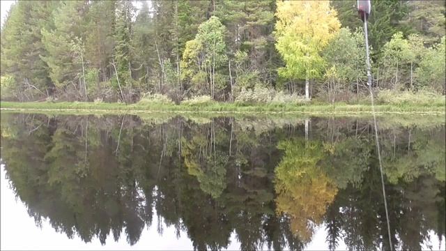 Клёвая рыбалка. Жор плотвы /часть2/ смотреть онлайн