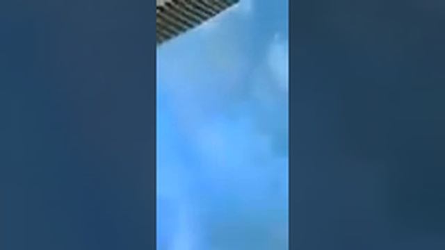 Как отмыть машину от тополя  1