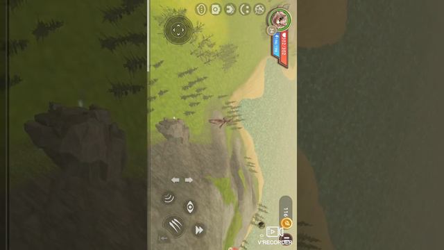 вот чем утром занимаюца орлы🤣🦉🪶🪱 смотреть онлайн