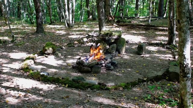 Библия. План победы на 11 декабря смотреть онлайн