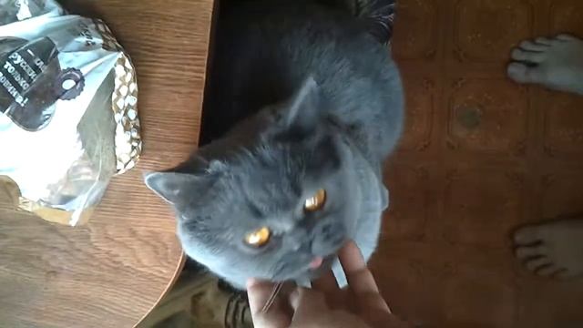 Застрял Мусоровоз...... смотреть онлайн