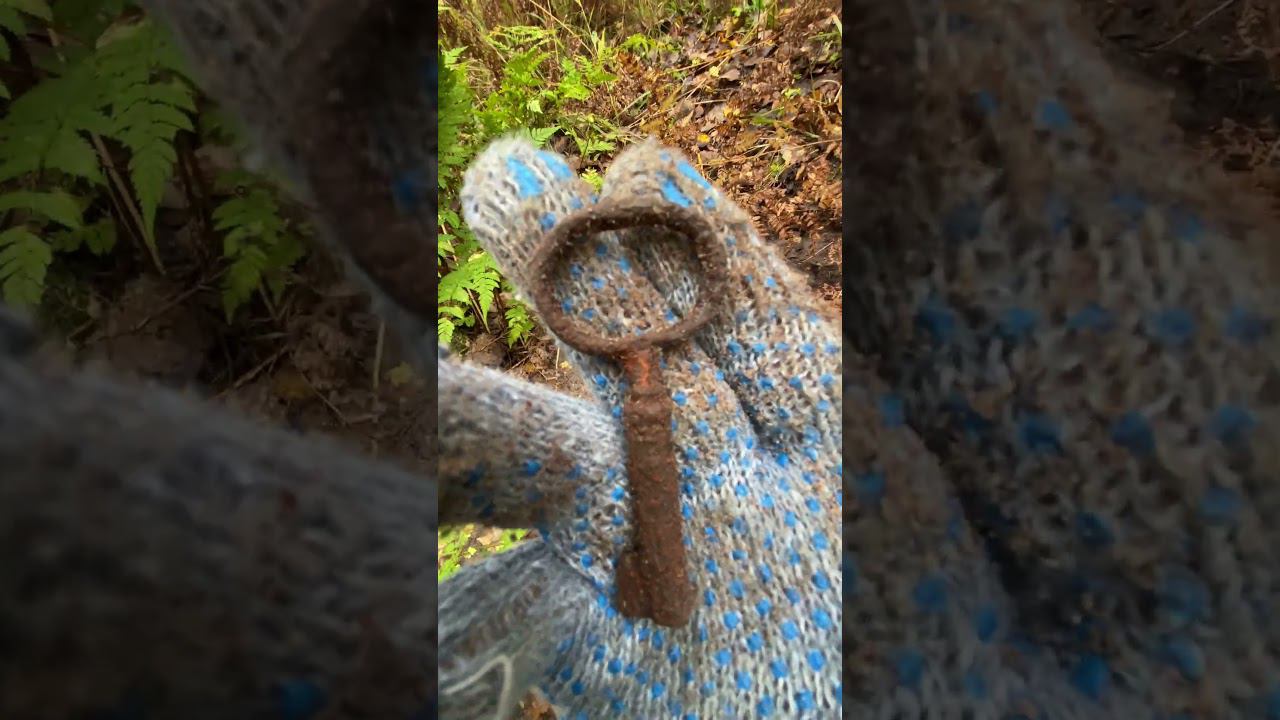 Кто то ключик потерял!!!!#леснойскобарь#2023#лес#коп#металлоискатель#находкисметаллоискателем