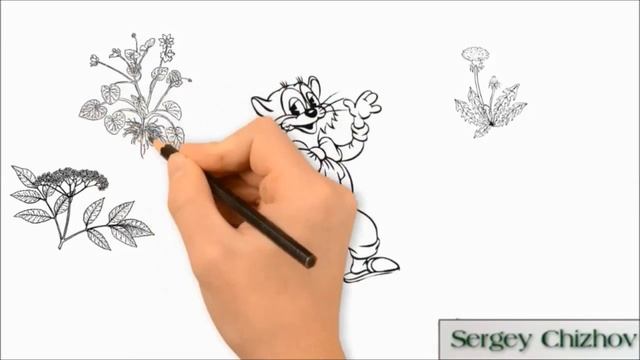 Рисованное видео. "Прикладная Фитофармация" - Рисованное видео 1. смотреть онлайн