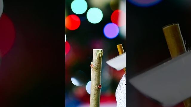 Как прививать деревья весной? Прививка в расщеп, в приклад, в зарез, копулировка, дрелью #grafting смотреть онлайн