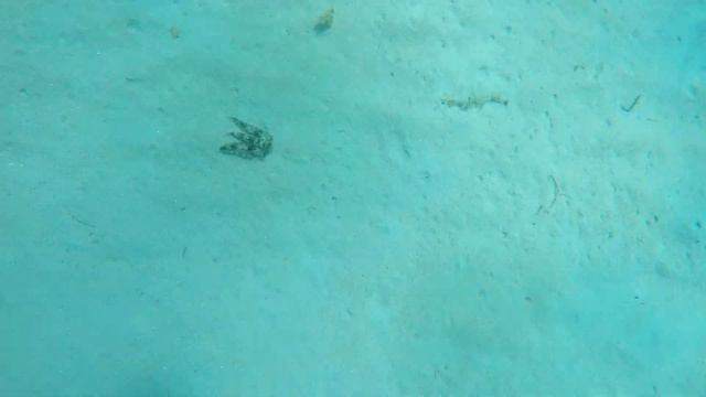 Jungle beach. Джангл Бич. Ресторан. Вьетнам. Нячанг смотреть онлайн