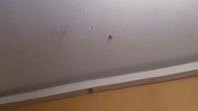 Вот такое доброе утро смотреть онлайн