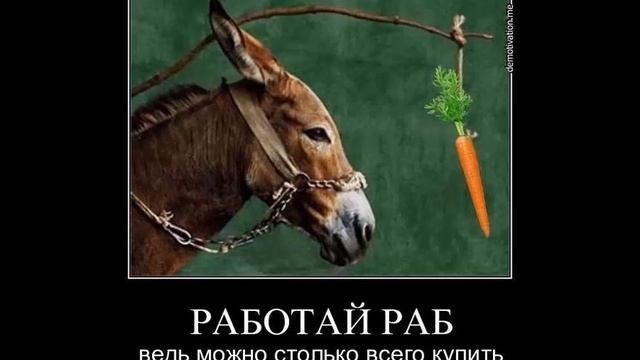 Почему не стоит работать в СберБанке? Отзывы о работе в Сбербанке смотреть онлайн