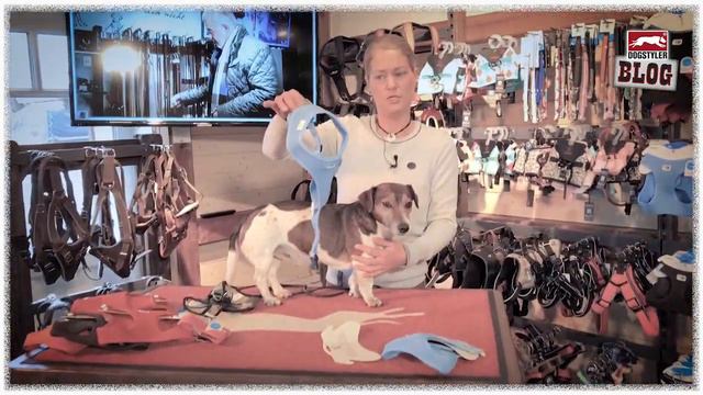 Das richtige Hundegeschirr? Vest Airmesh Curli Westengeschirr- Test | DOGSTYLER® Produktblog смотреть онлайн
