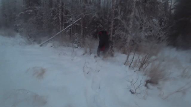 Зима.Таёжный поход. Нашли Избу. Провалился в болото. смотреть онлайн