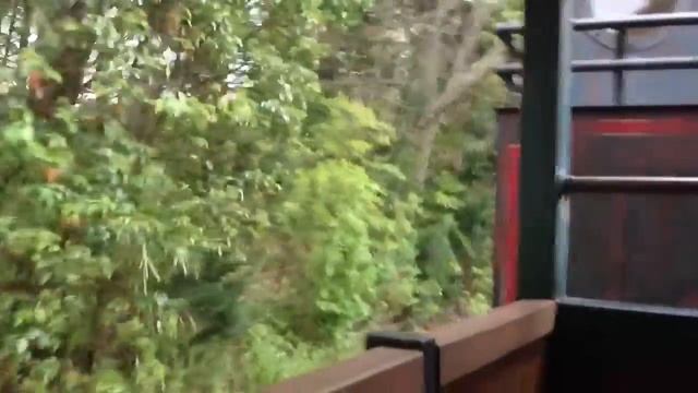POV: Wildlife Express Train at Disney's Animal Kingdom from Planet Watch to Africa смотреть онлайн