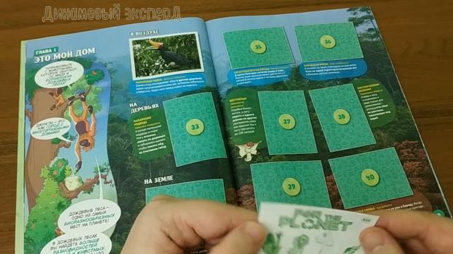 Обзор коллекции наклеек "Panini" ANIMALS 2021 - FOR THE PLANET/ ВСЕ ДЛЯ ПЛАНЕТЫ смотреть онлайн