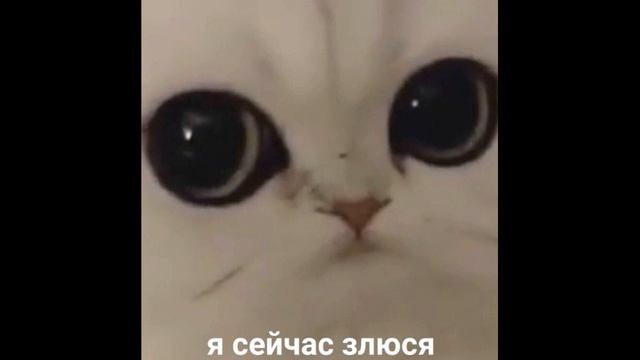 алена швец.- Ведьм у нас сжигают (cover by жужа) смотреть онлайн
