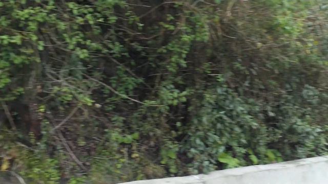 24 сот под Домовладение на Бытхе.Вид на г.Ахун.ИЖС смотреть онлайн