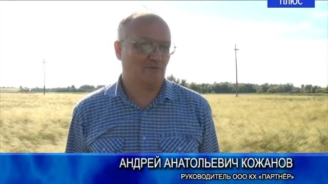 Краевой научно – практический семинар в Михайловском районе смотреть онлайн