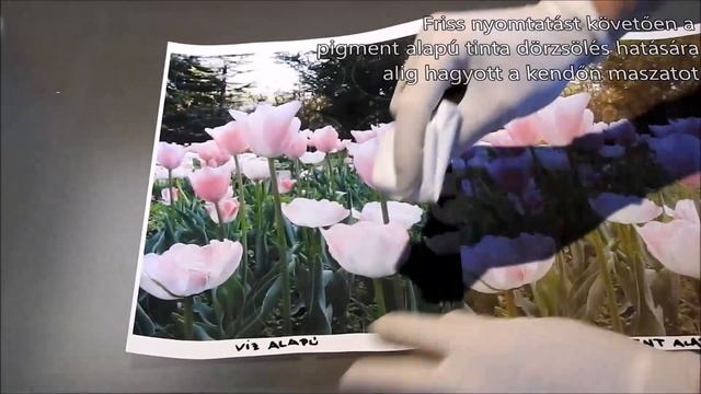 Pigment tinta vs. víz alapú tinta смотреть онлайн