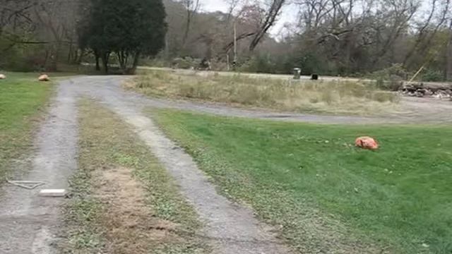 Видео с велосипедами. Велосипед 48V electric dirt bike Велосипед смотреть онлайн