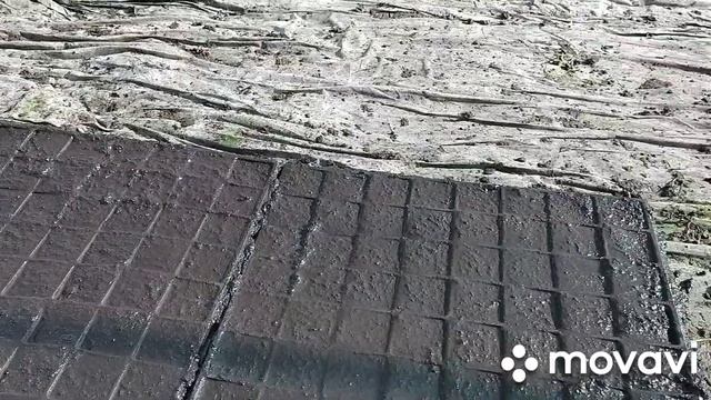Биогумус для клубники смотреть онлайн