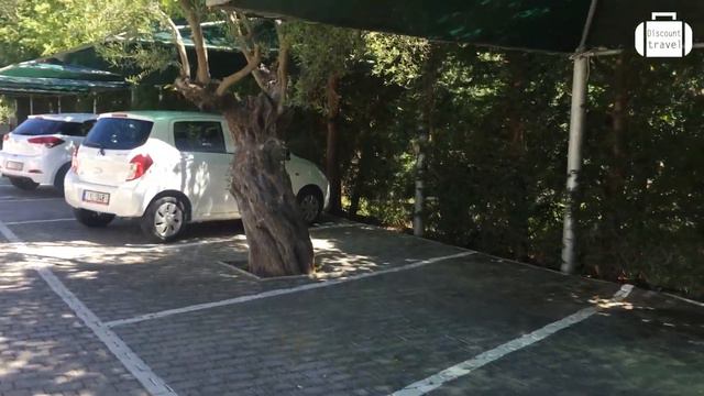 Обзор отеля Acrotel Athena Pallas 5* в Элии (Греция) от менеджера Discount Travel