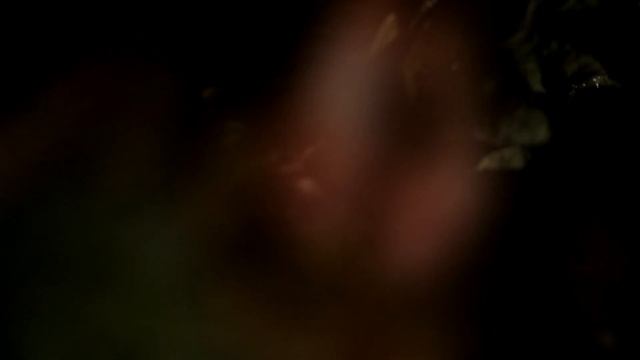 Русская баня в деревне Ерюхино смотреть онлайн