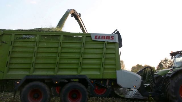 Claas jaguar 970 et 930 a l'ensilage de maïs смотреть онлайн