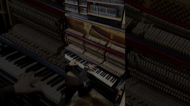 Афганский вальс  Piano Cover By Suleyman Bekmurzaev