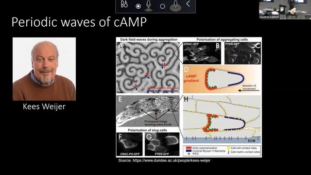 P40: Digital Chemotaxis смотреть онлайн