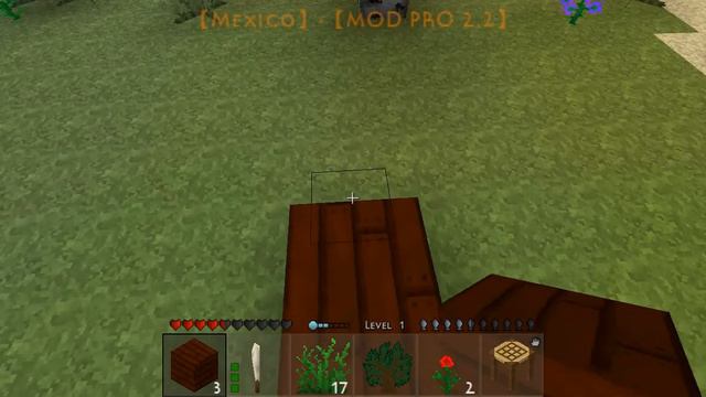 Survivalcraft 2 Mod Pro Survival #1