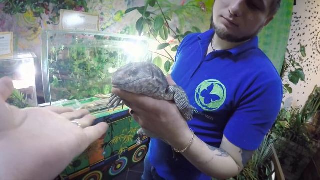 VLOG: Трогательный, Поездка на лошадях смотреть онлайн