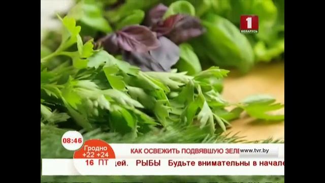 Освежить зелень смотреть онлайн