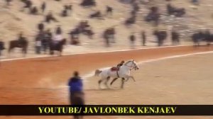 Казах оседлал лошадь.mp4