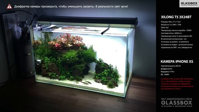 Большое сравнение аквариумных светильников смотреть онлайн