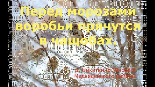 Марийские народные приметы.Часть 11.Птицы и погода. смотреть онлайн