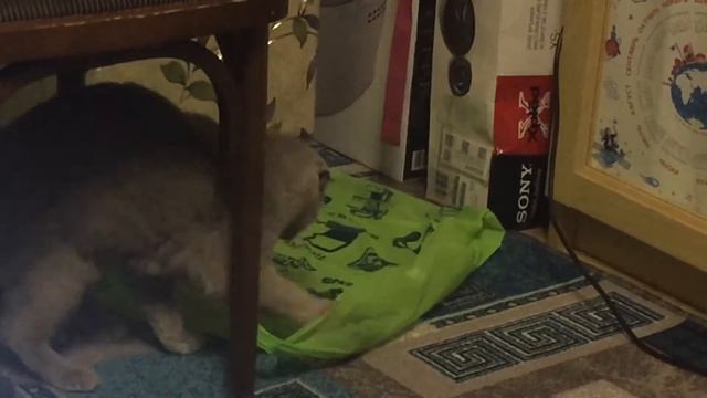 Мама Киса 5 лет , а детство еще в ней играет смотреть онлайн