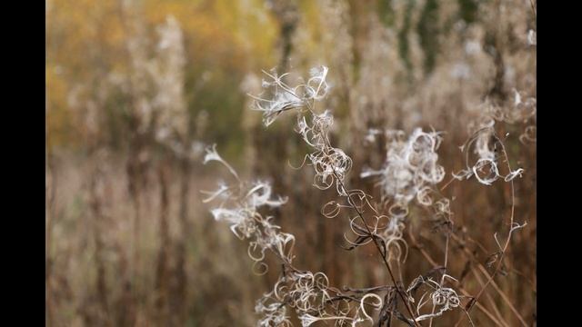 ДАРИТЕ ДОБРЫЕ СЛОВА смотреть онлайн