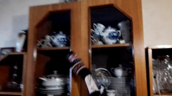 сумасшедший кот / crazy cat