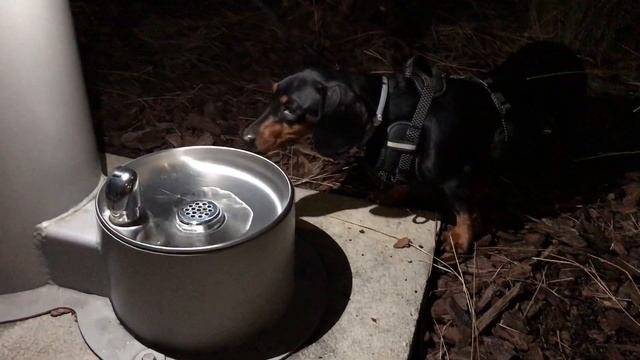 Грустная находка ? смотреть онлайн