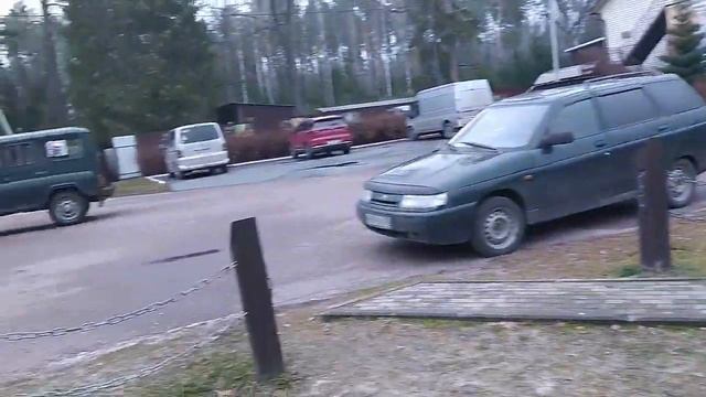 Заповедник Брянский лес смотреть онлайн