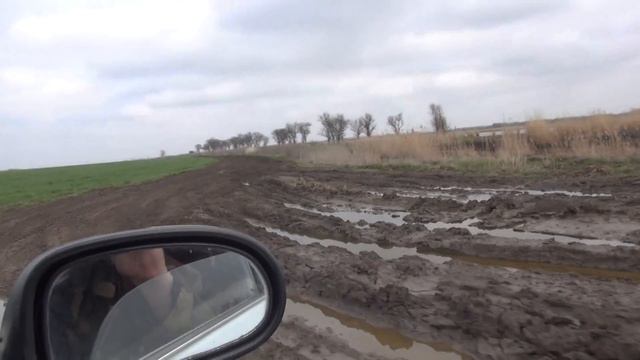 Пруд полный толстолоба и амура смотреть онлайн