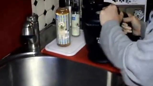Лапомойка для собак Paw Plunger смотреть онлайн