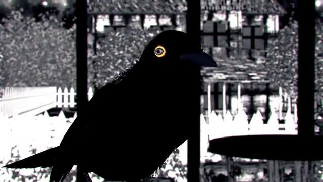 Когда прилетают черные птицы(When the black birds fly) смотреть онлайн