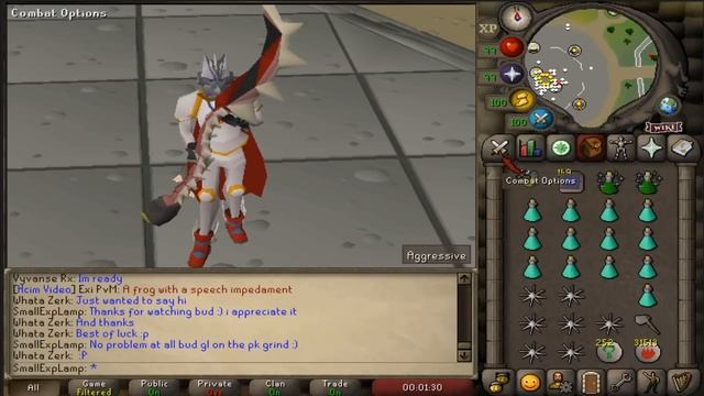 The Ultimate Gargoyles Guide OSRS смотреть онлайн