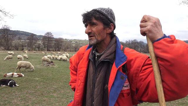 Ovchar Pasischta Kravi смотреть онлайн