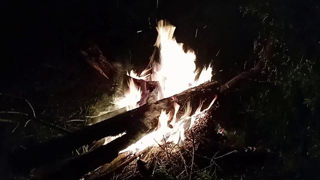 Рыбалка,ночь,лось смотреть онлайн